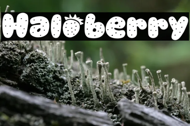 Haloberry Example 3