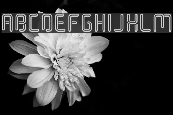 Halogen Gas Lights Font examples