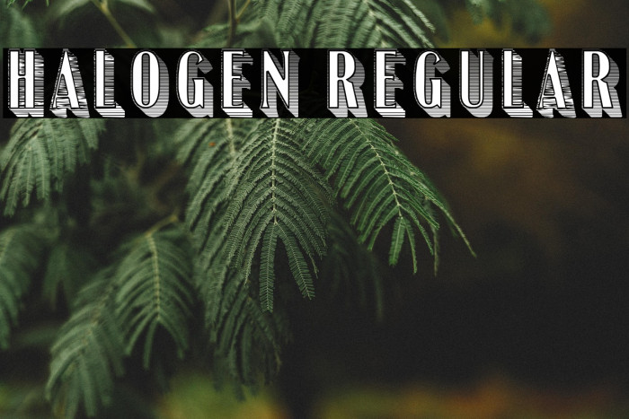 Halogen Regular Example 3