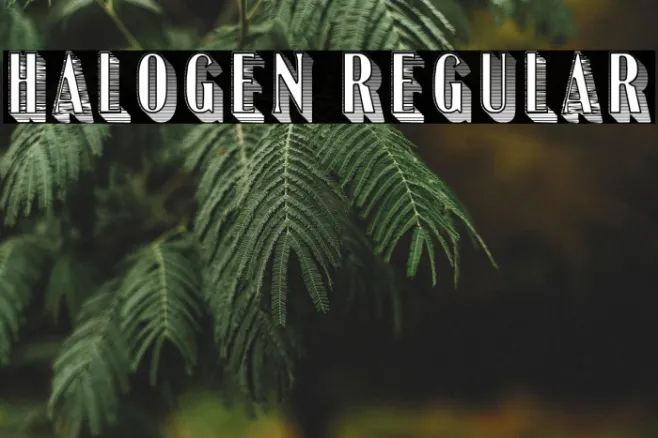 Halogen Regular Example 3