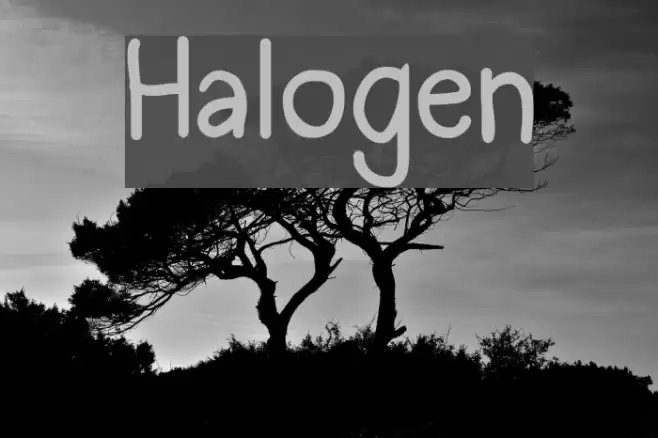 Halogen Font examples