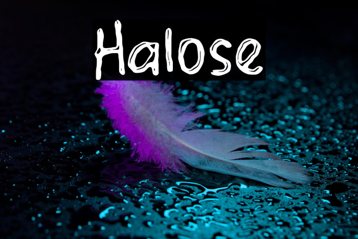 Halose Example 3
