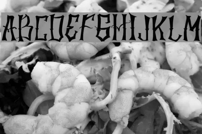 Halowen Font examples