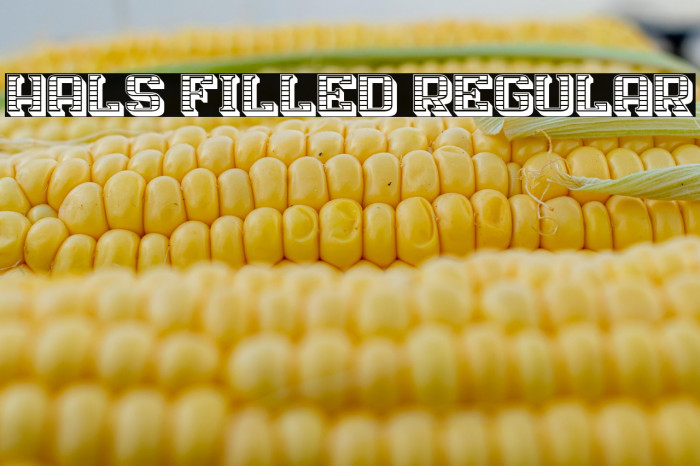 Hals Filled Regular Example 1