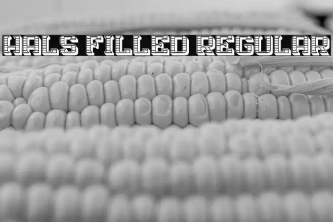 Hals Filled Regular Font examples
