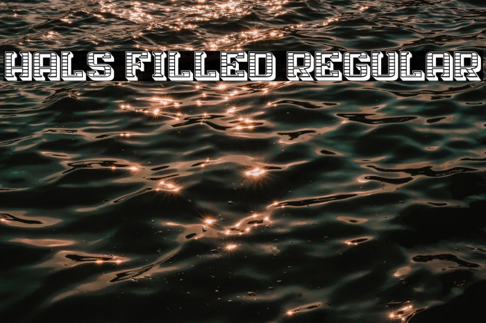 Hals Filled Regular Example 2