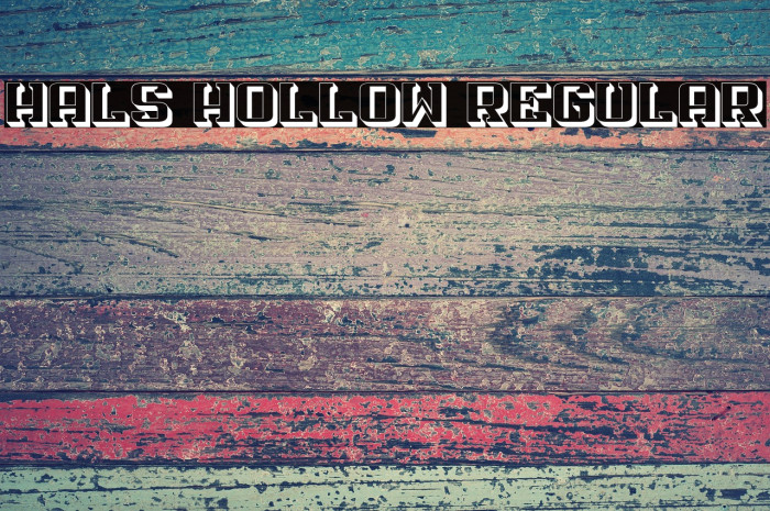 Hals Hollow Regular Example 1