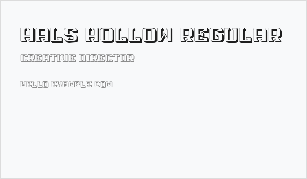 Hals Hollow Regular Business Card