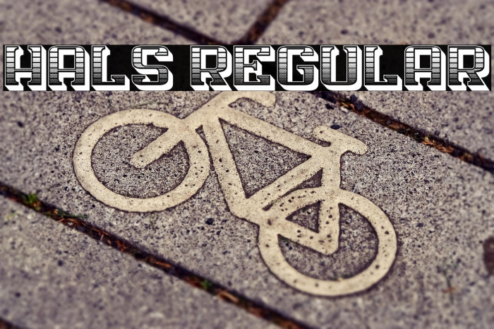 Hals Regular Example 1