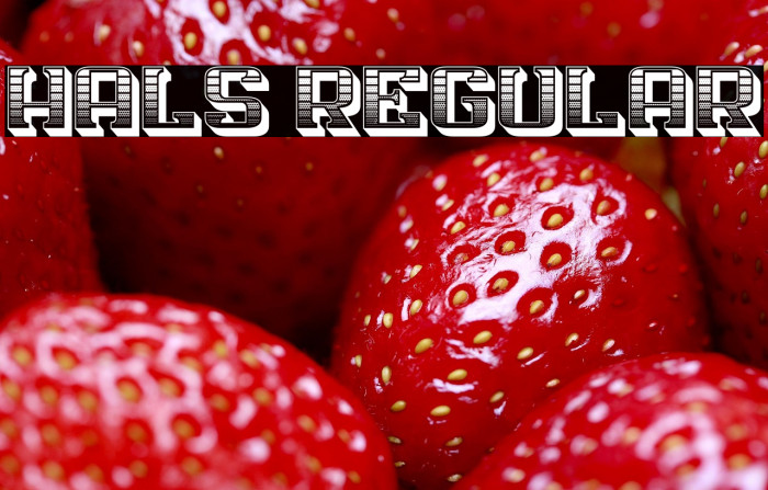 Hals Regular Example 2