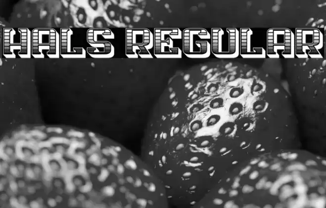 Hals Regular Font examples