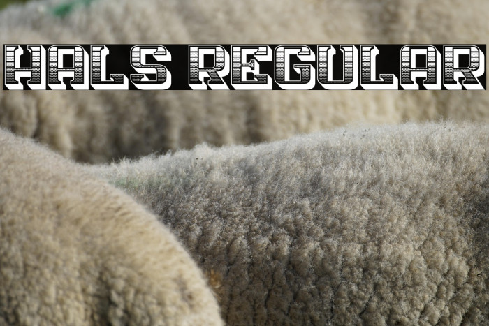Hals Regular Example 3