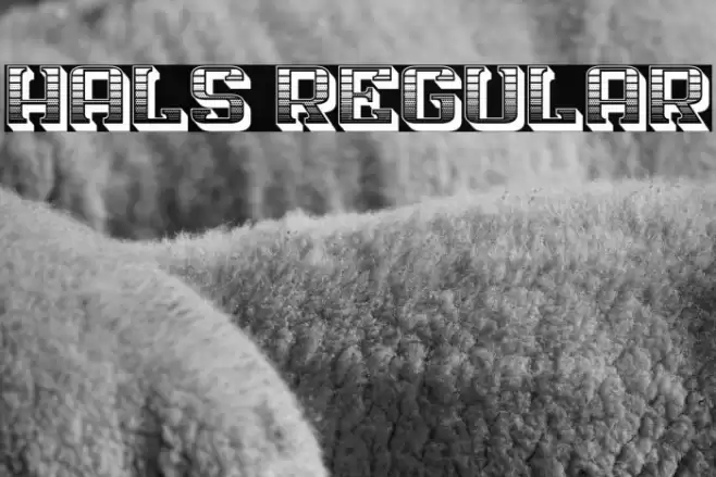 Hals Regular Font examples