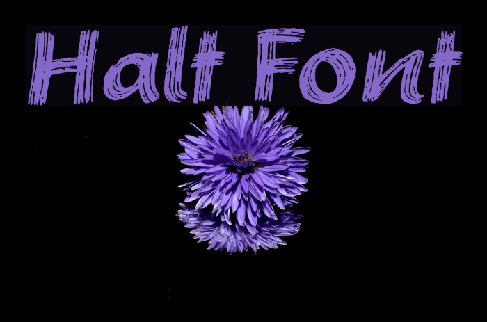 Halt Font examples