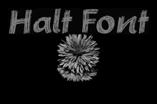 Halt Font examples