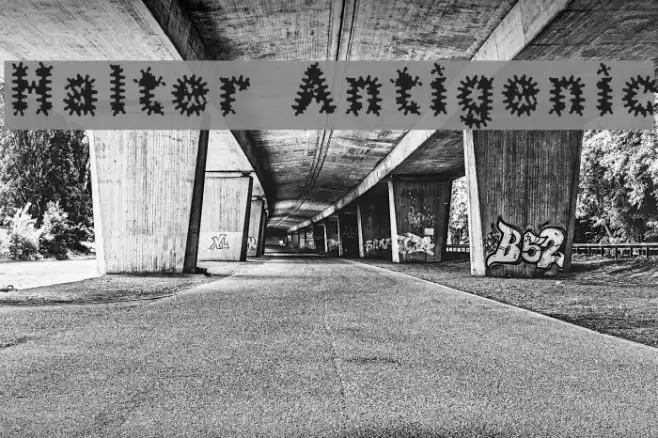 Halter Antigenic Font examples