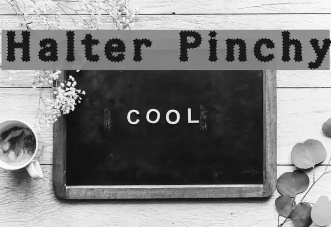 Halter Pinchy Font examples