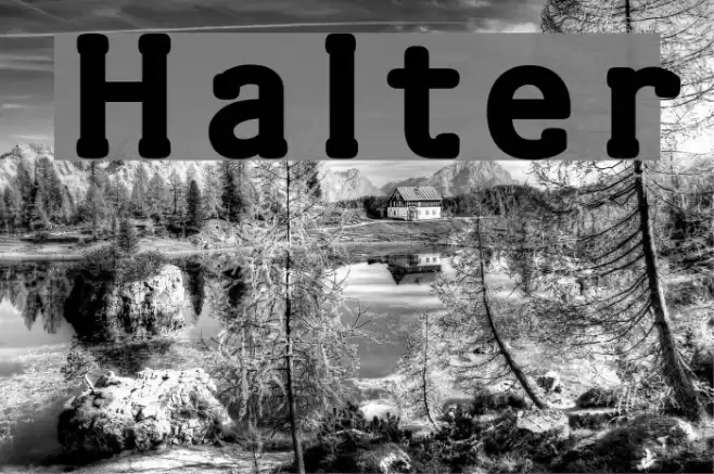 Halter Fonte examples