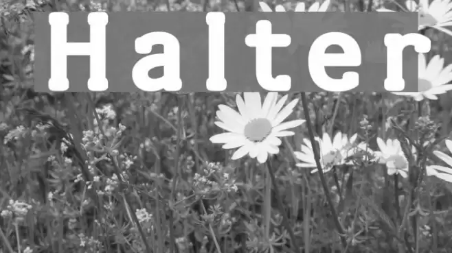 Halter Fonte examples