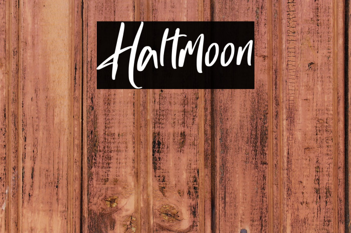 Haltmoon Example 1