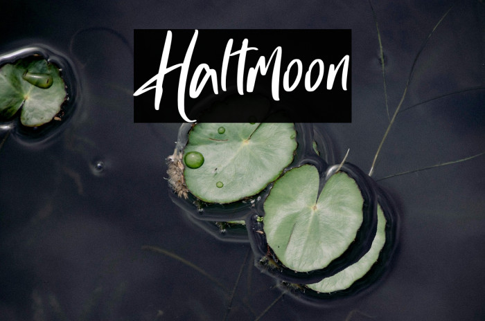 Haltmoon Example 2