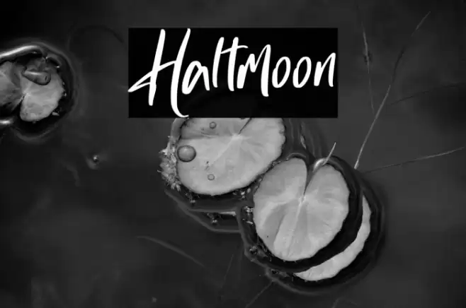 Haltmoon Font examples