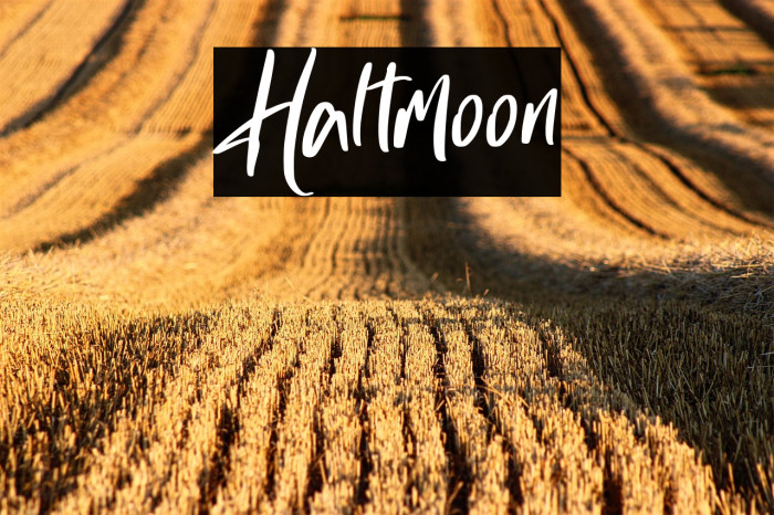 Haltmoon Example 3