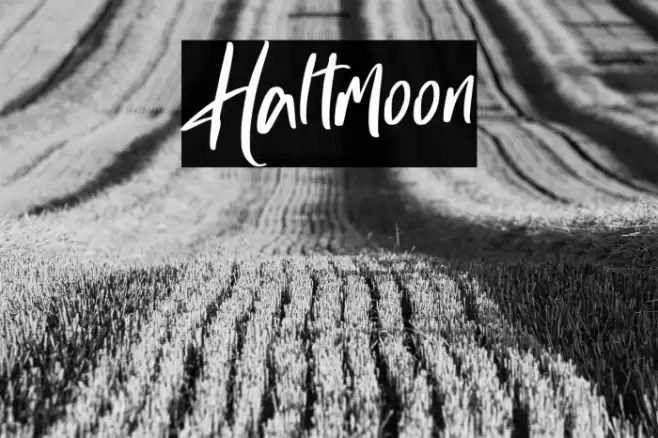 Haltmoon Font examples