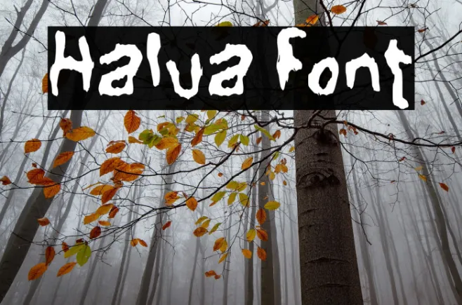 Halua Example 3