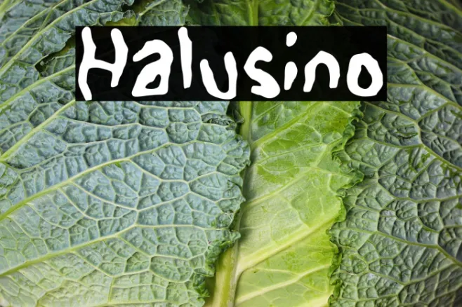 Halusino Example 1