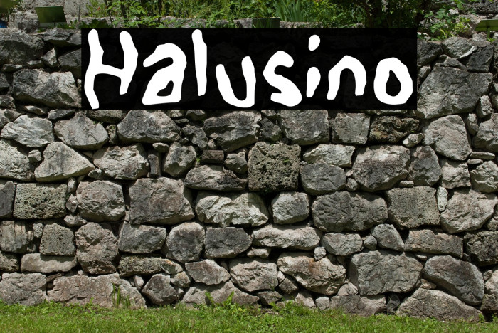 Halusino Example 2