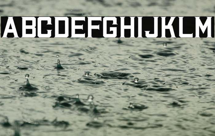 Halvert Solid Personal Use Example 1