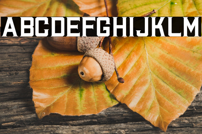 Halvert Solid Personal Use Example 3