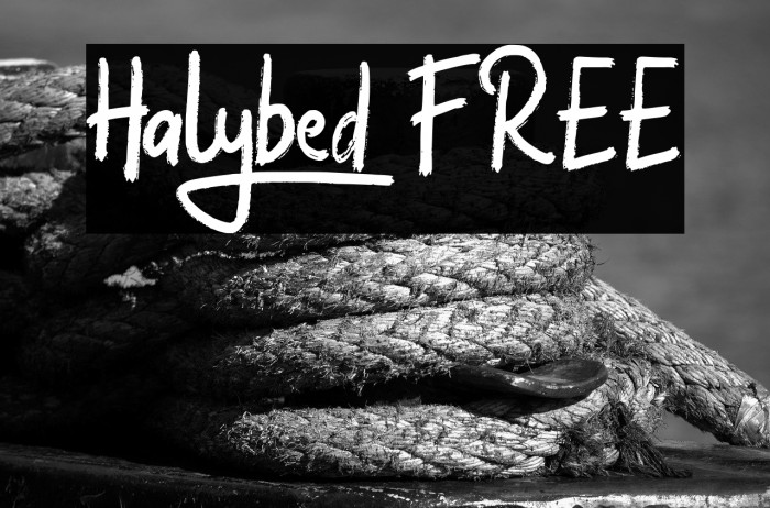 Halybed FREE Example 1
