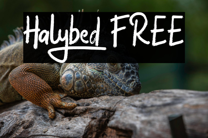 Halybed FREE Example 2