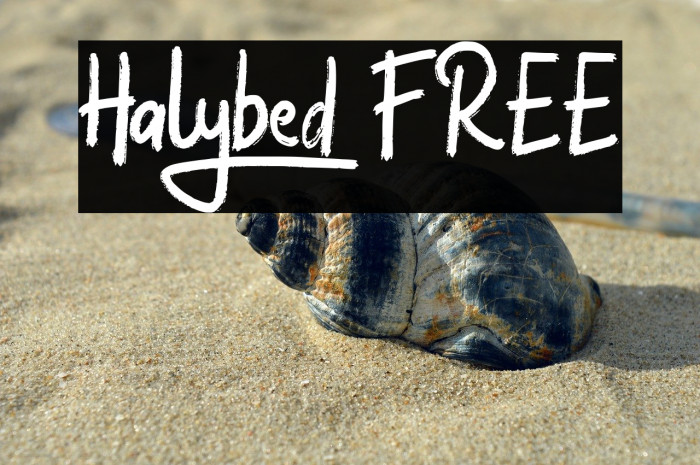 Halybed FREE Example 3