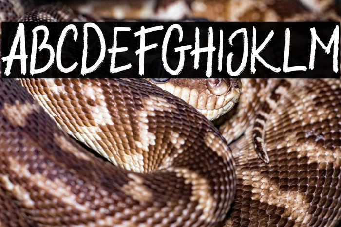 HalybedFREE Example 2