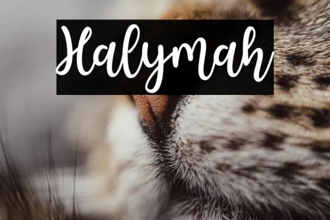 Halymah Example 2