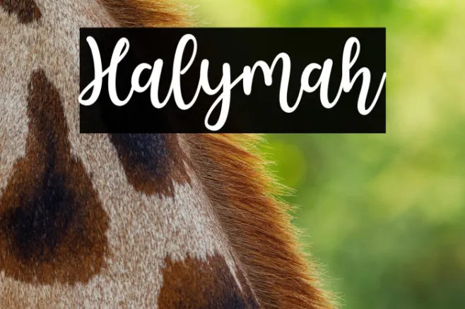 Halymah Example 3