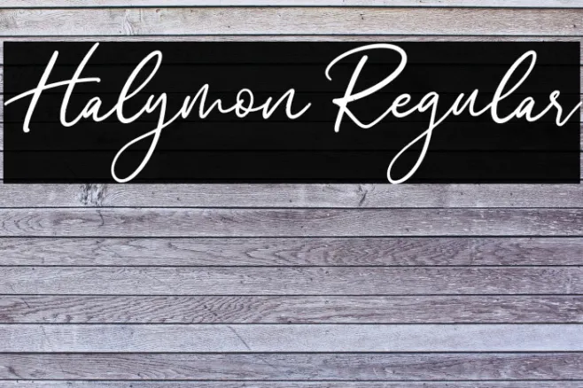 Halymon Regular Example 1