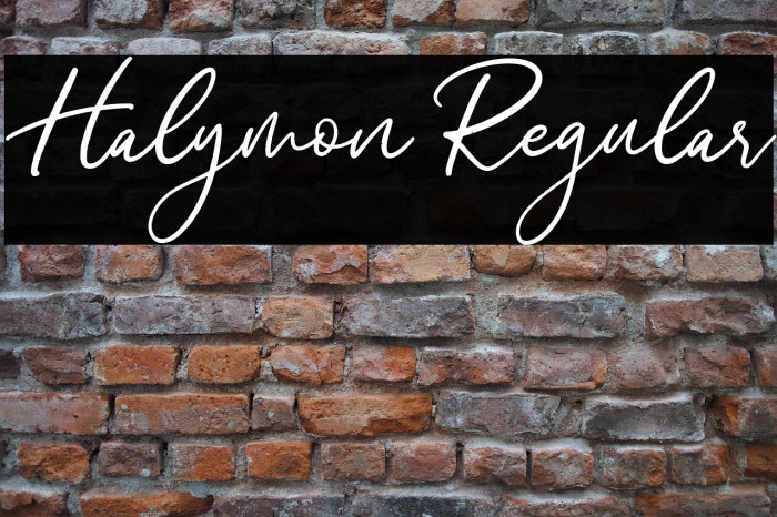 Halymon Regular Example 2