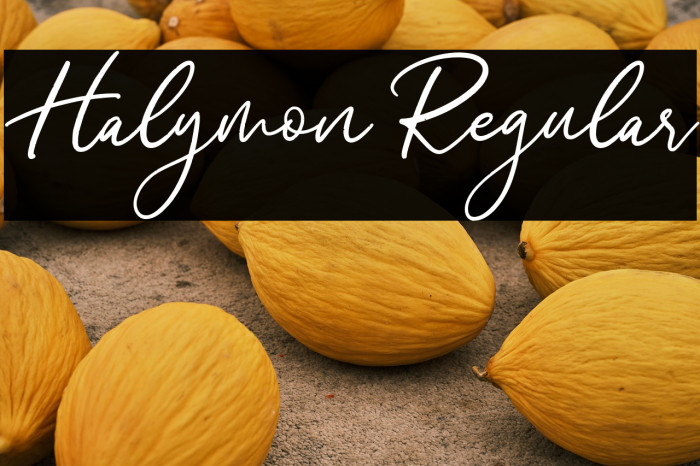 Halymon Regular Example 3