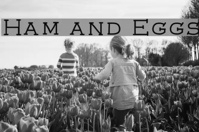 Ham and Eggs Font examples