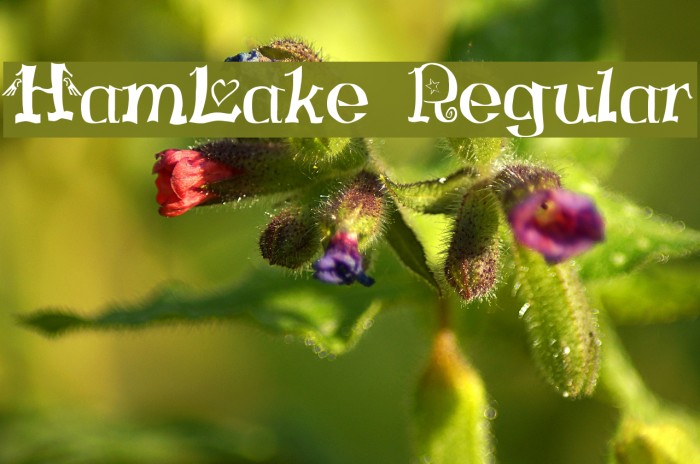 HamLake Regular Шрифта examples