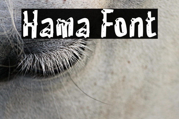 Hama Example 2