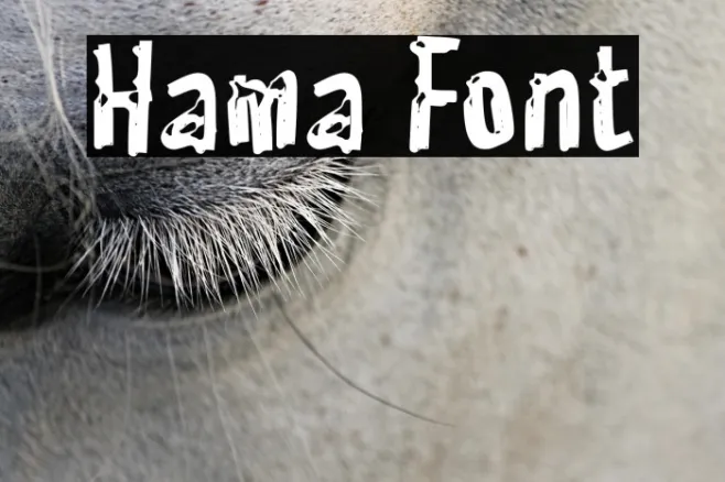 Hama Example 2