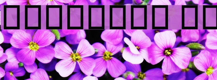 Hamaasah II Example 3