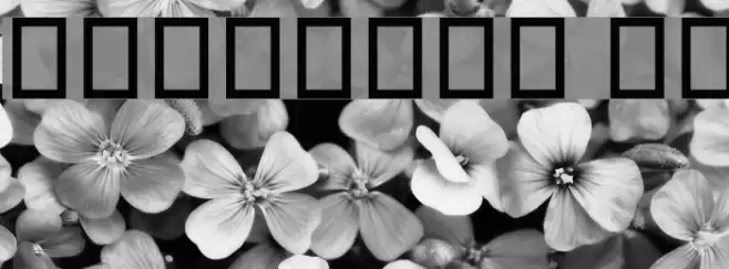 Hamaasah II Font examples