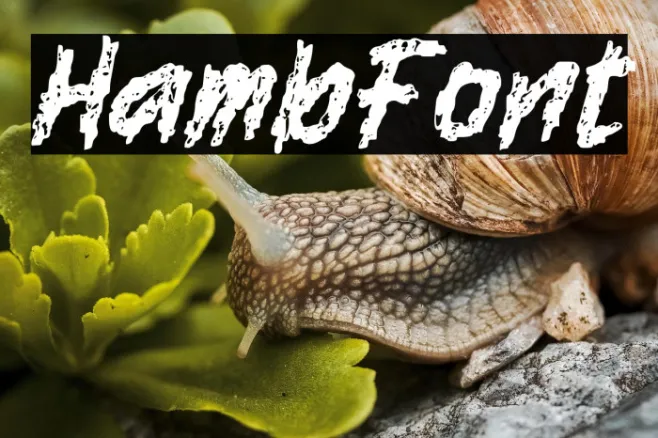 Hamb Example 1