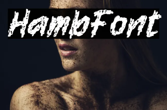 Hamb Example 3